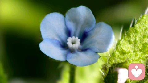 爱情里的忍让，是清醒的智慧