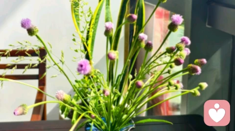 亲密关系里，所有痛苦都是未被觉醒的功课