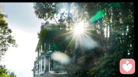 亲密关系中，比“越爱越孤独”更残酷的，是这3种相处模式