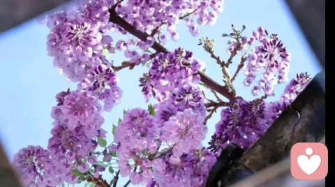 不是真爱的1个强烈信号