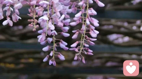 伟大的友谊不是事无巨细地参与对方的生活，而是在惺惺相惜中保持着和而不同。”\n\n如何离开一段不舒服的关系