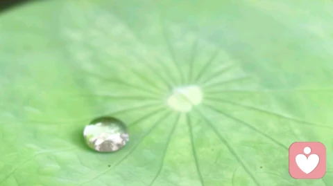 一切亲密关系的价值，在于自我洞见