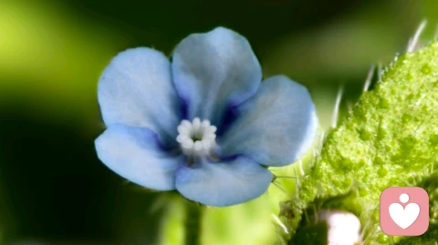 你所有的内耗，都源于没有边界