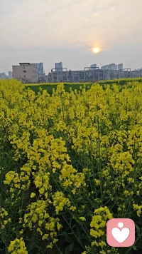 生活是旷野，不是轨道，不必事事圆满，自在随心就好配图