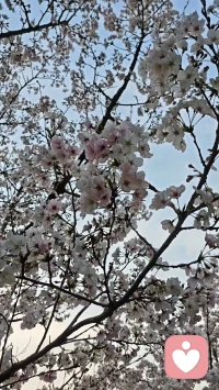 把烦恼清空，把快乐装满，日子简单，心就安然。配图