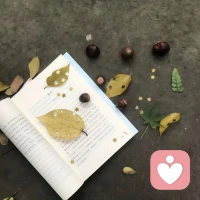 允许一切发生，也允许一切过去，风来听风，雨来赏雨。配图