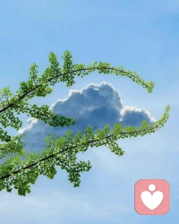余生学会慢下来，不慌不忙，不攀不比，在自己的方寸之间，安稳度日，自在随心。配图