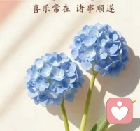 本来想把单价调低一点
让更多需要倾诉的朋友来
没想到又来骚扰客户
真的很无语
低价是你们的重点目标吗
宁愿没有客也不要骚扰客户配图