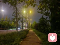 连续快半个月的每个夜班都是忙碌一晚上，第二天睡一天，把坚持很多年的锻炼都搁浅了，今天终于重拾旧爱，夜晚凉风习习，漫步在路边小道，静谧，悠闲，惬意，疲惫的心一下子就舒缓了