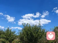今天终于放下手头工作，从华阴大敷峪进山，途径金堆城，走242国道，到洛南，然后走344返回西安，天公作美，一路风景如画，山路弯多、景美、人少、心静。这一路的云和山，治愈了所有精神内耗。