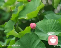 一场秋雨一场寒，一份惦记暖心间，降温了，注意添衣保暖