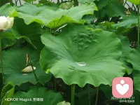 一场秋雨一场寒，一份惦记暖心间，降温了，注意添衣保暖