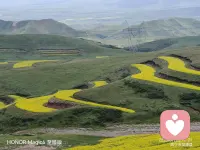 西安淅淅浙沥沥的下起了雨，降温了， 寒意袭来，空气沉闷闷的，心情有点压抑，翻出去年去西宁门源县看油菜花的照片，让心情爽朗一点，西宁的天，湛蓝洁净，空气中都是油菜花香味，扑鼻而来，真的应验了，你若盛开，蝴蝶自来