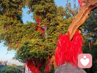 假期第七天，返程的路上，窗外的风景从陌生变回熟悉。 
如果你觉得心里有点空落落的， 别急着把情绪藏起来。从热闹回归日常，本来就需要一点缓冲的时间
今天，我是你的倾听者。旅途的疲惫、假期的遗憾、或者只是想找人说说话-你说，我听。