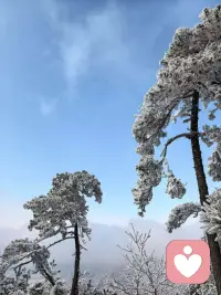 工作的疲惫，生活的琐碎，是不是快把你压得喘不过气？我是倾听师，不评判，不说教，只安安静静听你倾诉，陪你慢慢释放心里的压力，愿我的陪伴给你一点点温暖。配图