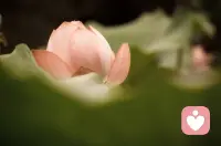 【心理咨询师腾腾说】

不必把心事说给所有人听，有人漠然，有人轻看。不如把情绪妥帖安放，若你需要一个安全的出口，我随时为你敞开，陪你好好聊聊。配图