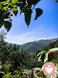 凡是能让我们心生欢喜的事，
都是支撑我们前行的那份动力，
也是我们深爱这人间的重要原因！配图