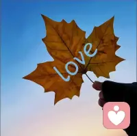 人一定要疯狂爱上点什么东西，才不至于被无趣的生活吞没。我们的肉身只需很少的粮食就能活，精神却需要山川河流与自由。怎可一生忙碌只为喂养一副终将衰老的躯壳，却从未善待过相伴至死的灵魂。别让琐碎磨平眼里的光，别让奔波耗尽心底的热。去爱清晨的风，去爱傍晚的云，奔赴山海，去活成自己喜欢的模样，别困在鸡毛蒜皮里沉沦，别被世俗功利捆绑一生。灵魂总要靠一份热爱撑着，别等到垂垂老矣，才惊觉这一生竟从未真正为自己活过。配图