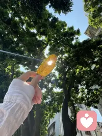 多年以后你会发现，
纯净的爱意和奋不顾身的勇气，
都是不可再生之物！
