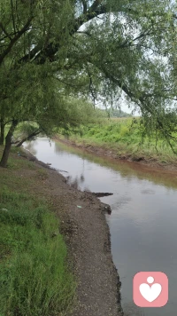 追不上的，不追！背不动的，放下！看不惯的，删除！渐行渐远的，随意！不属于自己的，不要！                做，自己想做的事；听，最想听的声音；见，最想见的人，如此简单，甚好！配图
