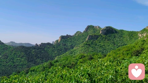 情绪稳定，是反操纵的最终绝招