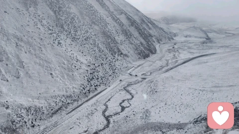 你为什么在关系里总把“迁就”当成维系感情的唯一方式