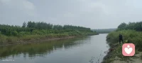 不必总是匆匆赶路，偶尔也要停下来，等一等灵魂。
看看路边新开的花，感受一下午后的暖阳。生活中的幸福感，往往藏在那些看似“无用”的慢时光里。今天，请给自己一个无所事事的下午吧。配图