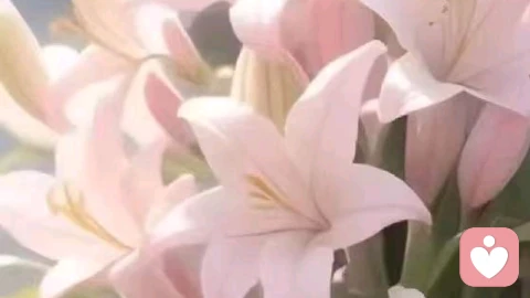 学会爱自己,是你这一生最重要的功课