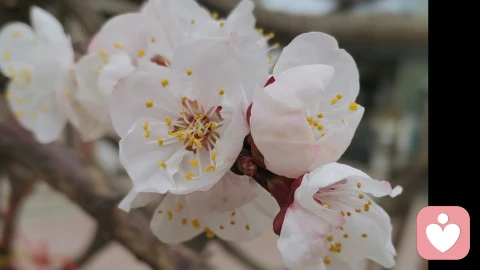 为什么你总是“想太多”