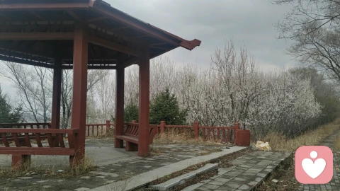 面对指责型家人的秘诀:把ta当病人