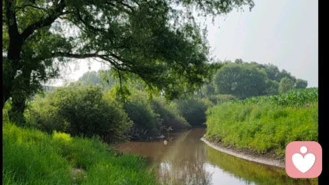 空船效应；别让坏情绪伤了最爱的人