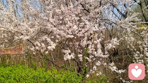 如何培养高情商的情绪价值