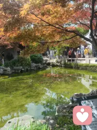 生活其实很简单
看透是一种领悟，看淡是一种轻松，看开是一种快乐，想多了都是问题，想开了全是答案！配图