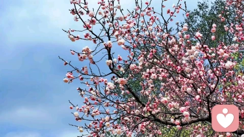 三步化解生活焦虑，重拾内心从容