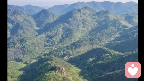 别让胡思乱想耗尽你，学会给情绪做减法