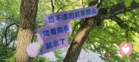 人一定要热爱些什么，才不至于被这无趣的生活吞没。我们的肉身只需要很少的粮食就能活，而我们的精神需要的是山川河流和自由。我们怎可以一生忙碌，只是为喂养一副终将衰老的躯体，而从未珍惜那与我们相伴至死的灵魂？配图