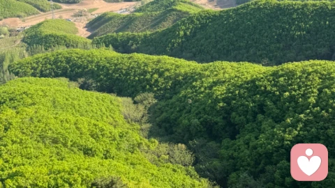 单亲妈妈和青春期儿子相处：守住性别边界，规避亲子错位风险