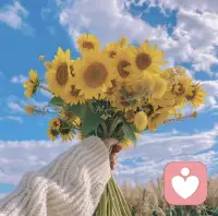 风雨里做个大人
阳光里做个小朋友
向阳而生，逐光而行
追随自己的光，亦诚亦勇敢！配图