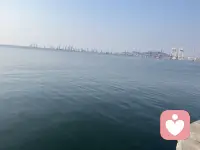 风辞三月留春意，好梦相随四月初、配图