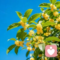 你来到世上是值得庆祝的，接纳自己的失误、不足配图