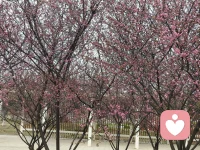 看看路边的风景。美好的一天开启。