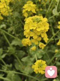 看看路边的风景。美好的一天开启。