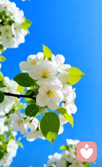 向外求求而不得
向内求生生不息配图