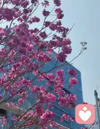 真正的强大，不是硬扛所有，
而是学会放下内耗，专注当下能做的事。
你现在的每一步，都是在靠近希望。配图