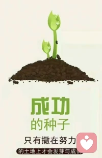 成功的种子哪有“凭空发芽”的道理🌱？
得把它埋进“努力”的泥土里，浇上日复一日的坚持，才会慢慢冒芽、抽枝，长成能扛住风雨的样子配图