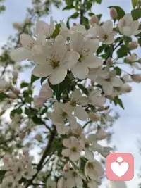 其实你不用总是那么坚强。撑不住的时候就停下来，累的时候就哭出来，你的脆弱也有人愿意接着。你比自己想象的要勇敢，也比你认为的值得被爱。配图