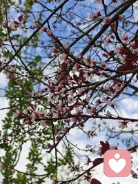 河流从不急于抵达海洋，它只是不停流动，便穿过了万年光阴。你也一样，不必焦虑于快慢，只要还在向前，就已经很好了。偶尔的停歇不是逃避，是让灵魂追上疲惫的身体。配图
