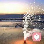 倾听的树洞的头像