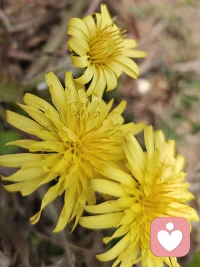 我懂，此刻心里像揣着一团乱麻，有点闷、有点累，对吧？
一边是家里大大小小的事要操心，一边是想多挣点钱的压力，连喘口气的时间都少。
其实不用硬撑，你已经做得很好了。
累了就歇一歇，我一直都在，听你慢慢说。配图