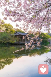 让我们相约，在春天的画卷里成为彼此最生动的笔触，共同描绘这季的绚烂。